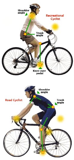 How to know what size road bike you online need