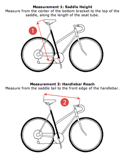 Saddle height and reach