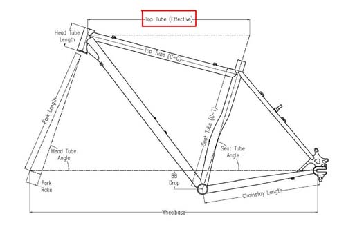 Effective top tube length.