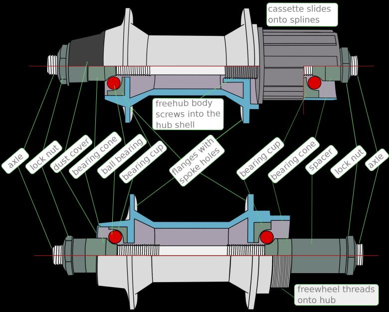 Freehub and freewheel hub comparison. Note the distance of bearings (red). Freehub has a lot more stable and secure design, with bearings at the very ends of the hub.