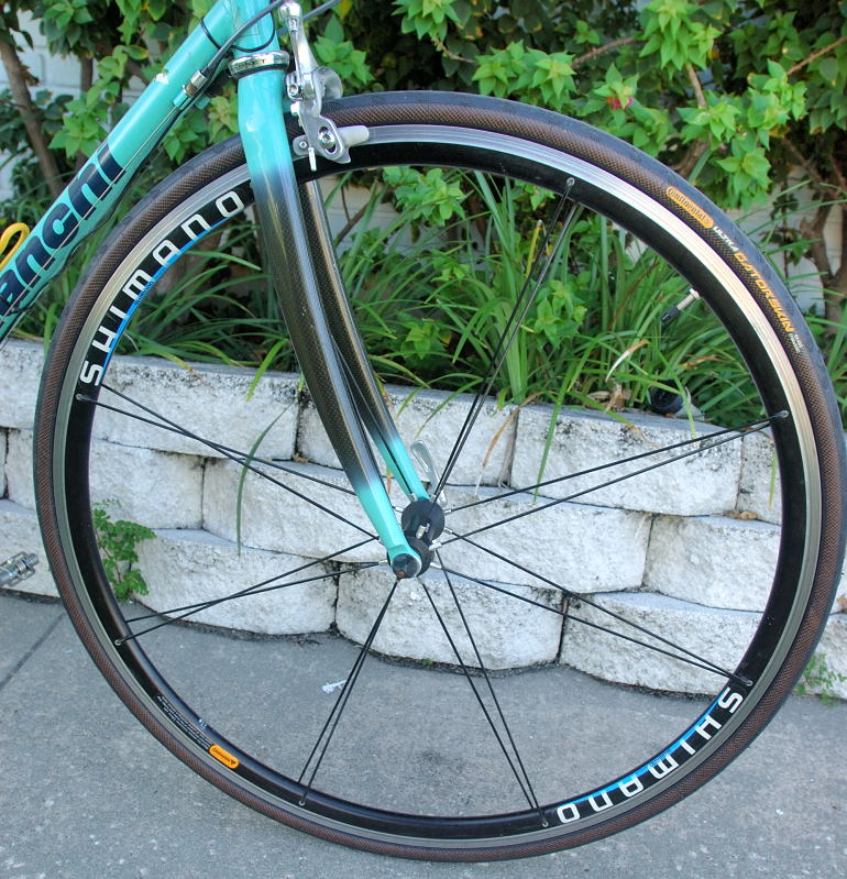 bike wheel frame