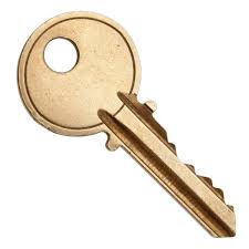 Regular key. It can be with teeth on both sides. These locks are picked within minutes.