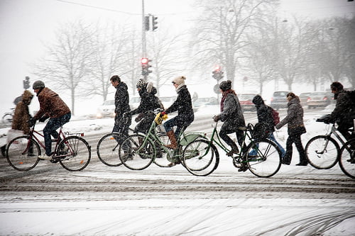 Riding a bike shop in the snow