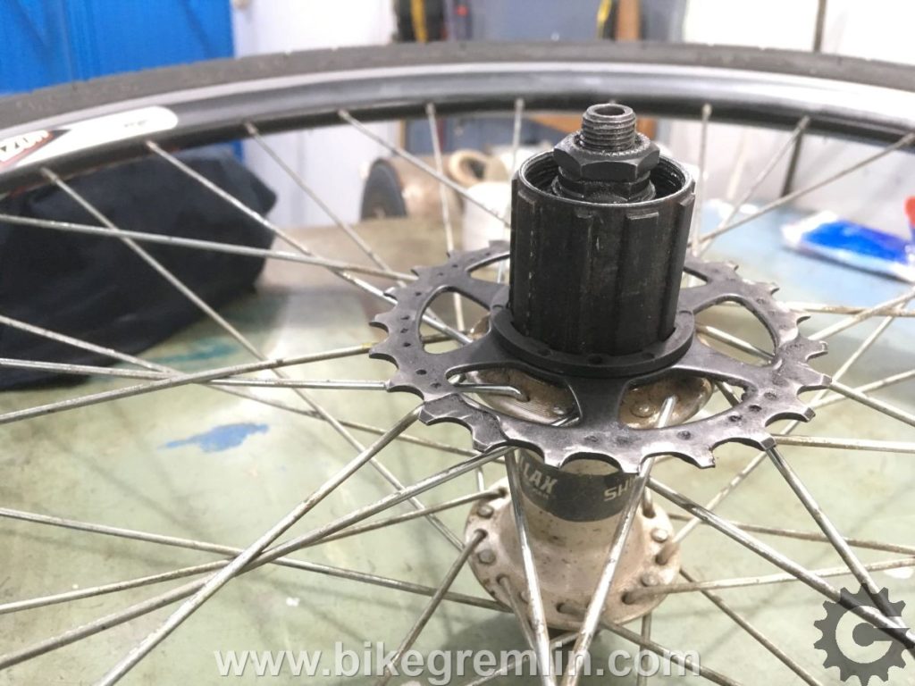 One 8 speed cassette sprocket and spacer give optimal height for mounting a 7 speed cassette on this freehub.