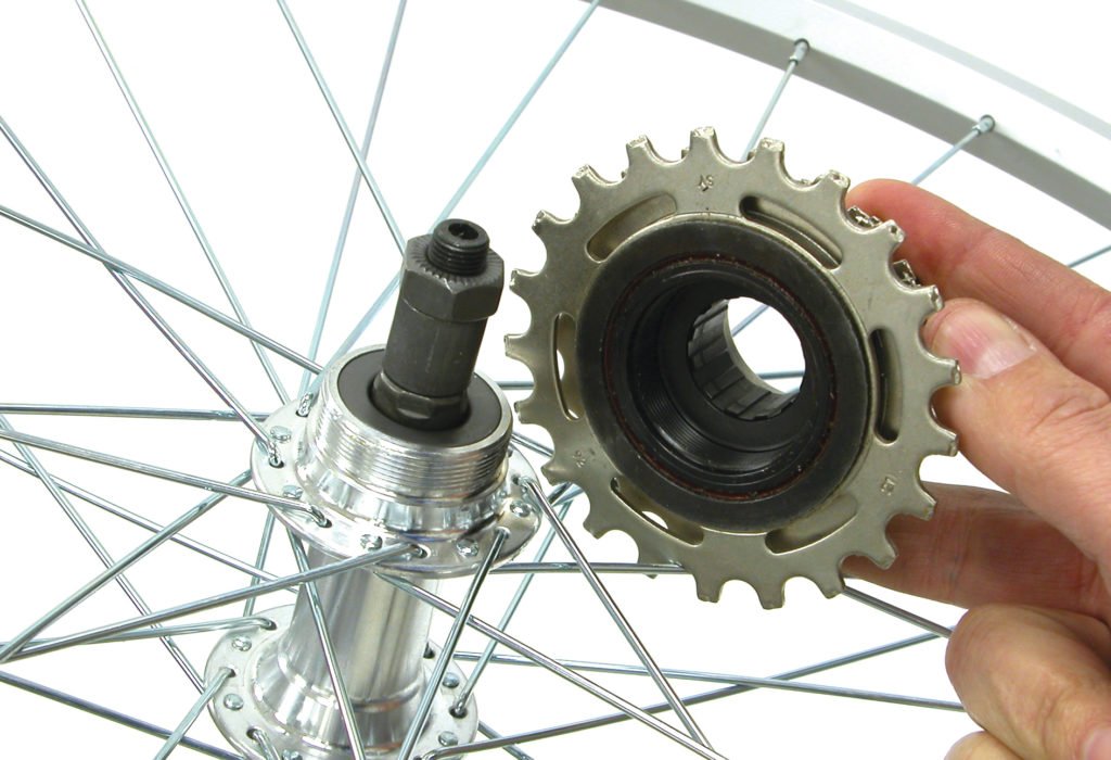 Mtb store freewheel hub