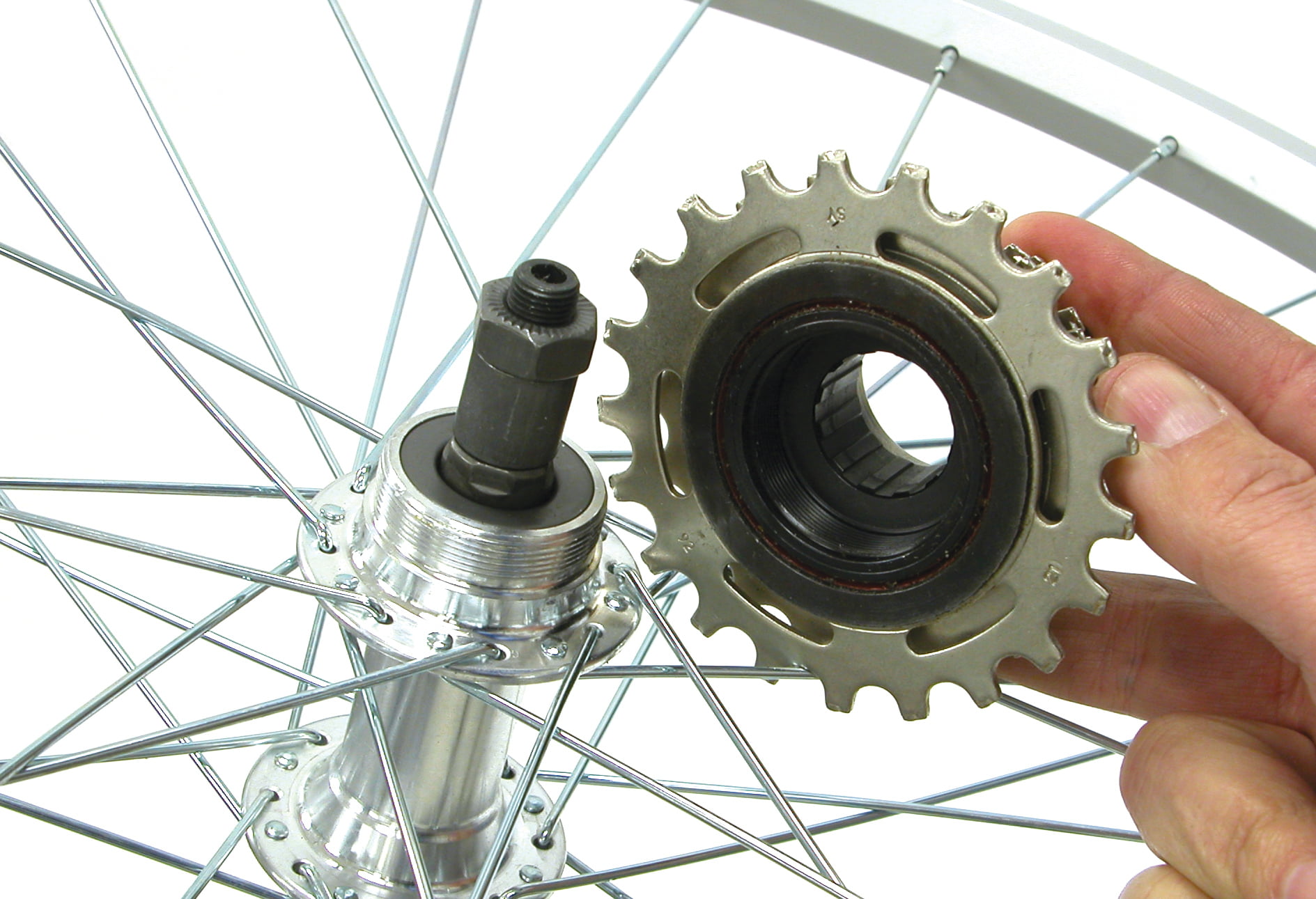 Freewheel rear hub with threads, and freewheel sprockets that are screwed onto it.