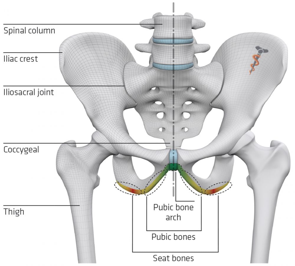 best saddle for wide sit bones