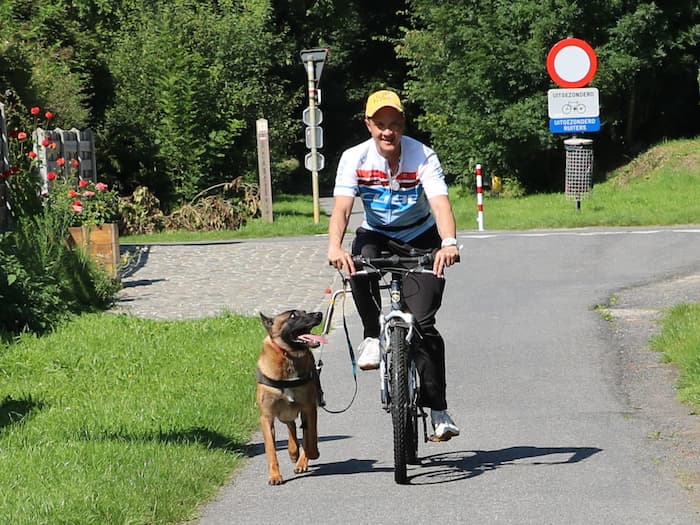 Enjoy cycling with your dog