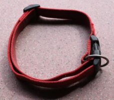 A dog collar