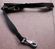 A double-clipped leash
