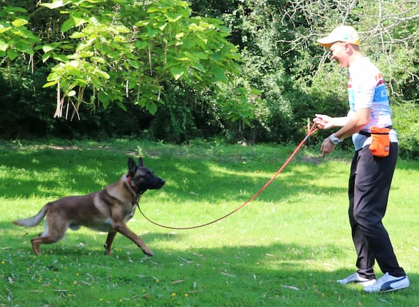 Training a dog to come - phase 1b