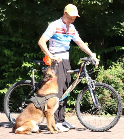 Training a dog to walk next to a bicycle