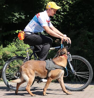 Dog trotting by the bicycle