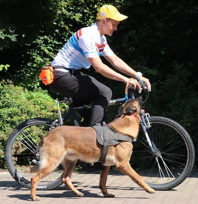 Dog trotting by the bicycle