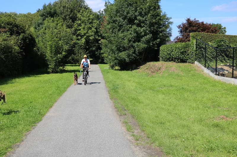 Have fun cycling with your dog