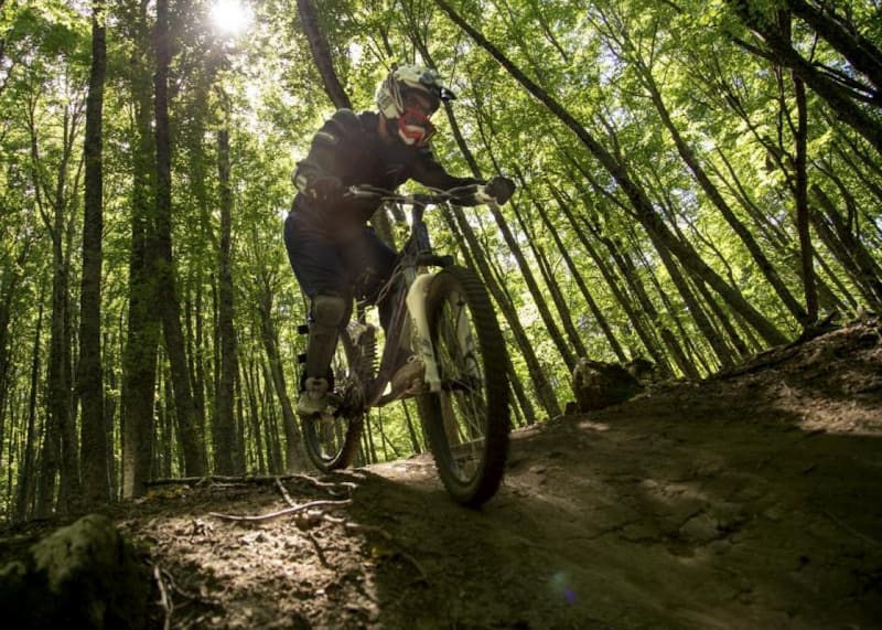 Buy a Mountain Bike, MTB Buying Guide